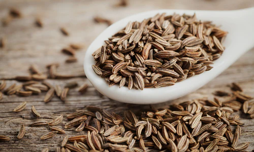 Impact of Spice Trading